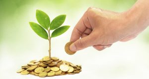 tree growing on coins